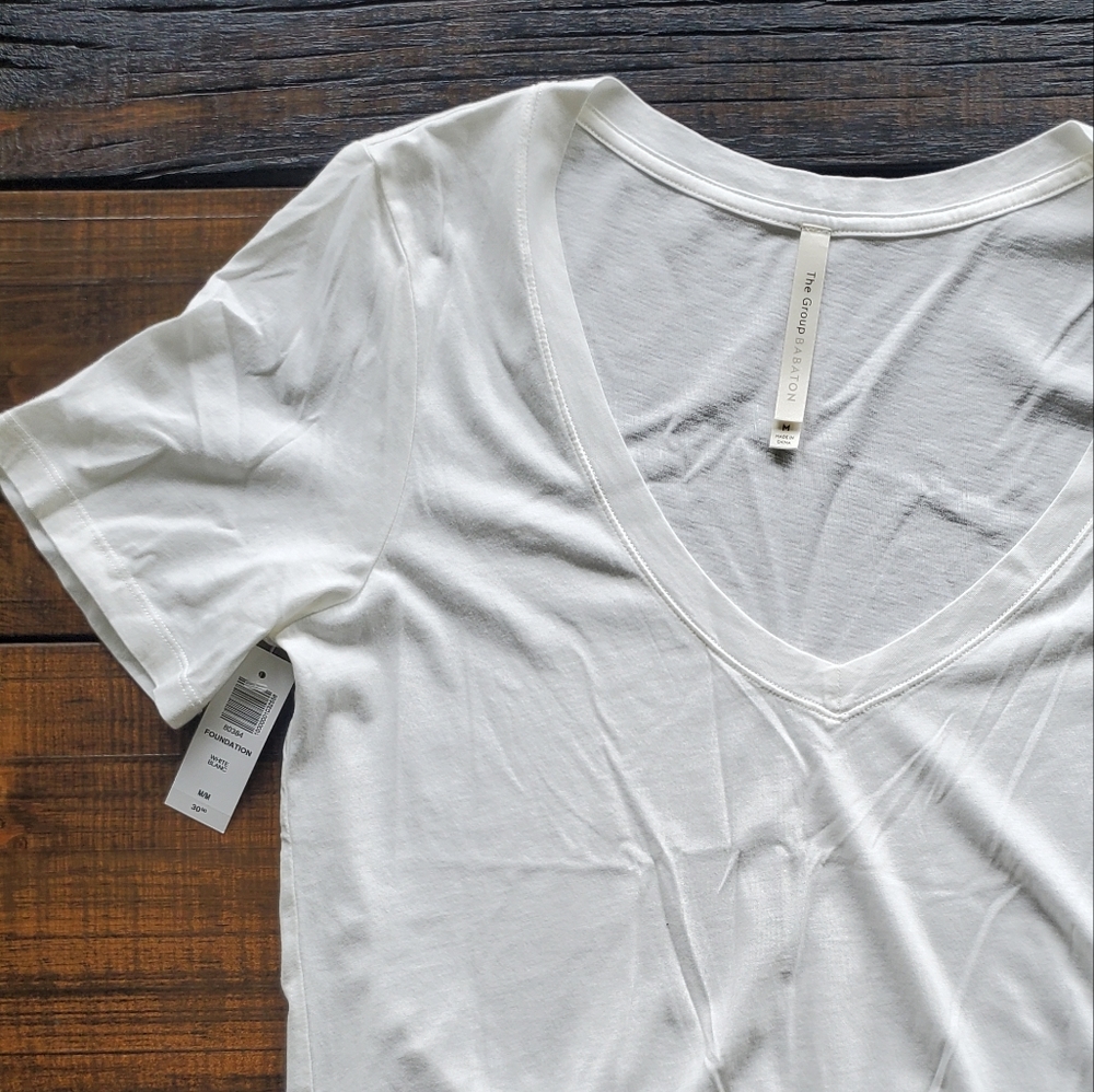 3/$50 Babaton Foundation V-Neck Tee